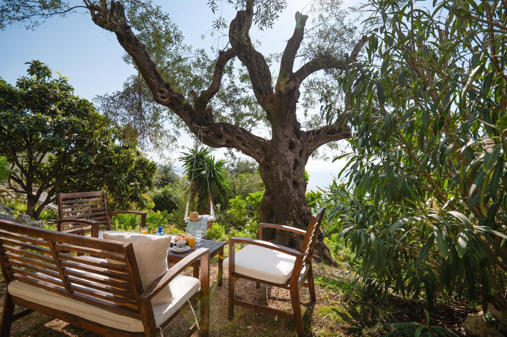 Sunrise View Apartments Barbati Dış mekan fotoğraf